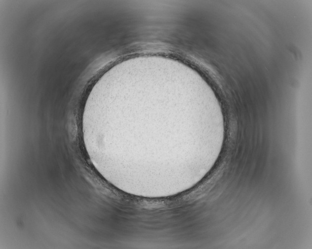 X0000110771407200907271154