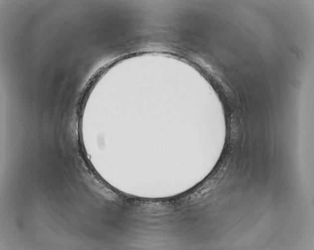 X0000110771408200907271154