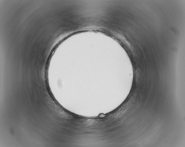 X0000110771412200907271154