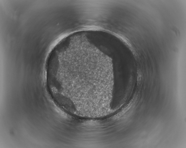 X0000110771414200907271155