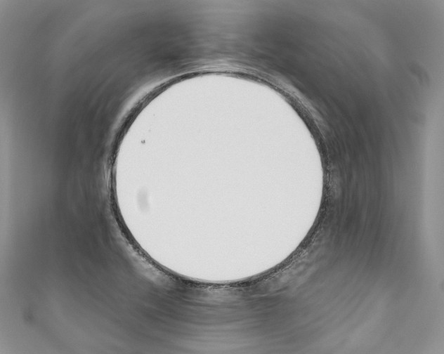 X0000110771416200907271155