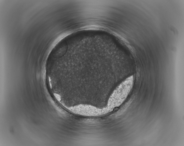 X0000110771418200907271155