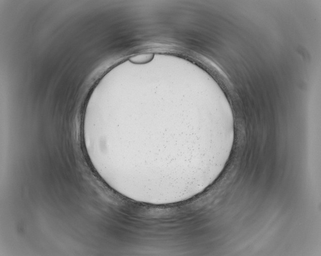 X0000110771419200907271155