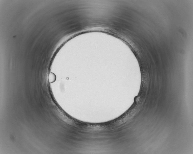 X0000110771420200907271155