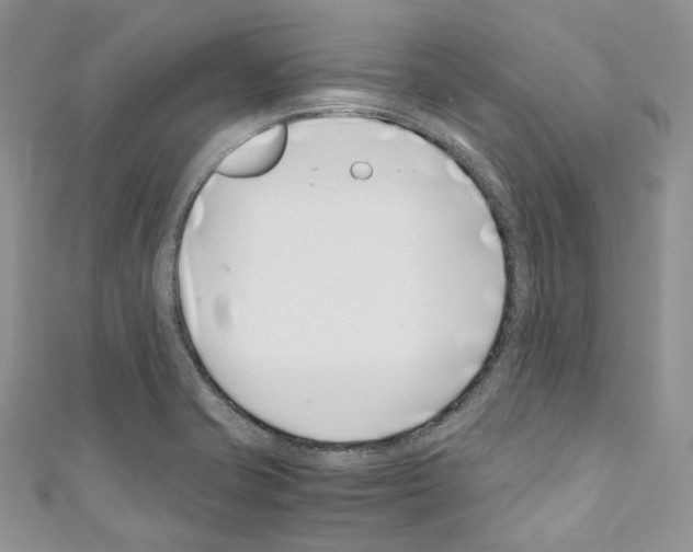 X0000110771421200907271155