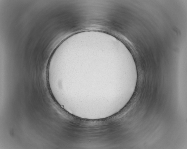 X0000110771423200907271155