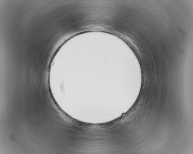 X0000110771424200907271155