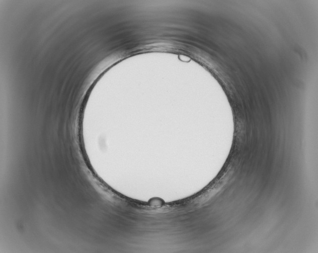 X0000110771426200907271155