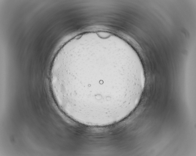 X0000110771429200907271155