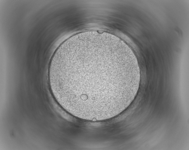 X0000110771431200907271155