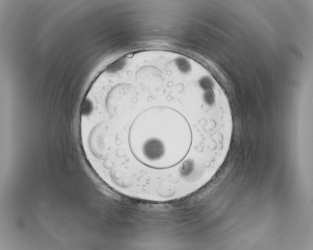 X0000110771432200907271155