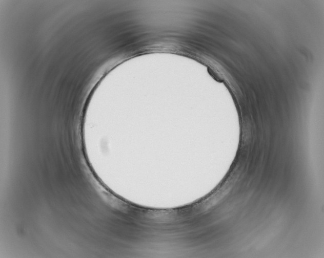 X0000110771434200907271155