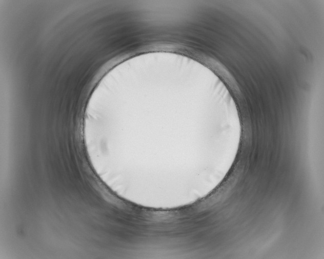 X0000110771436200907271155