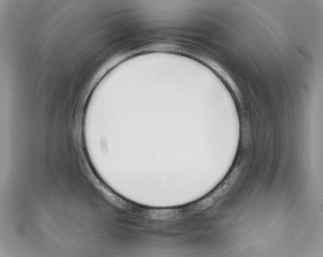 X0000110771437200907271155