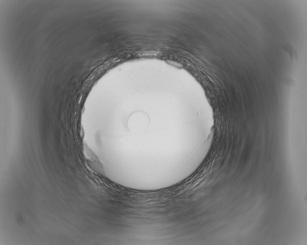 X0000110771441200907271154