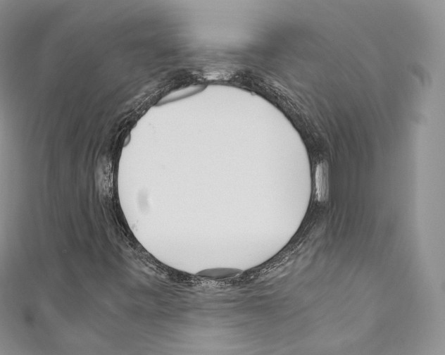 X0000110771443200907271154