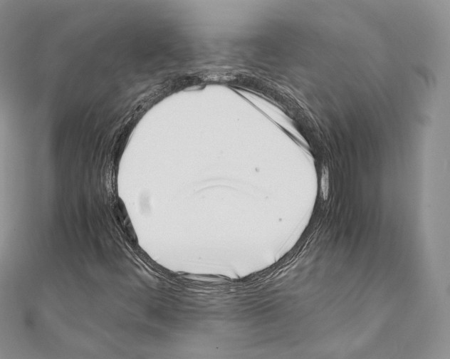 X0000110771444200907271154