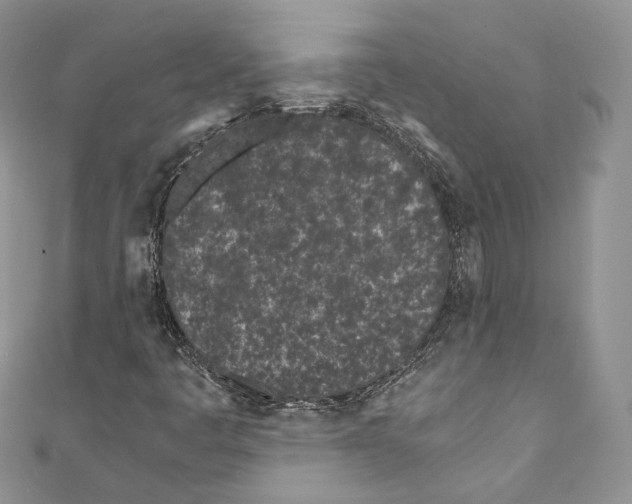 X0000110771445200907271154