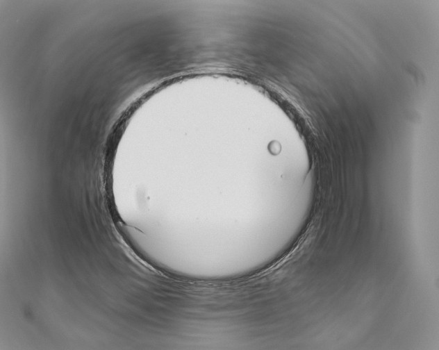 X0000110771452200907271154