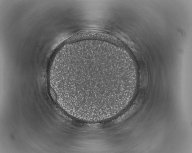 X0000110771453200907271154