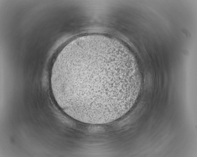 X0000110771454200907271154