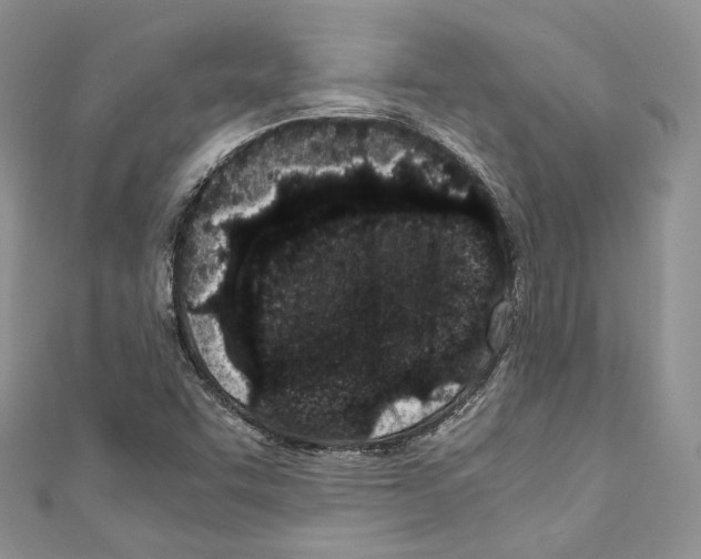 X0000110771455200907271154