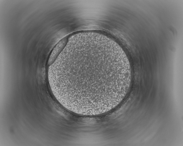 X0000110771457200907271154