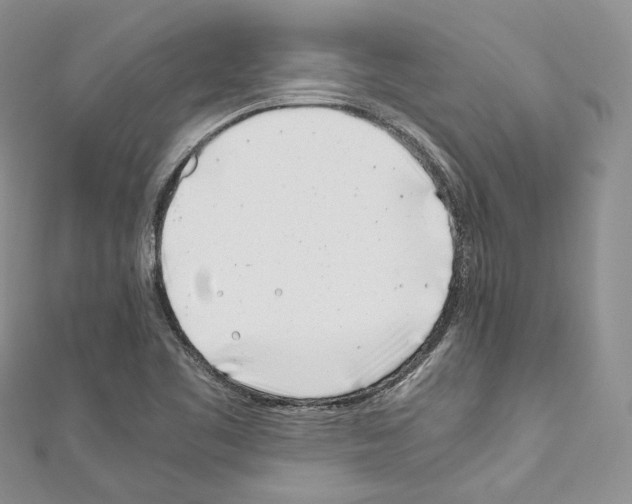 X0000110771461200907271154