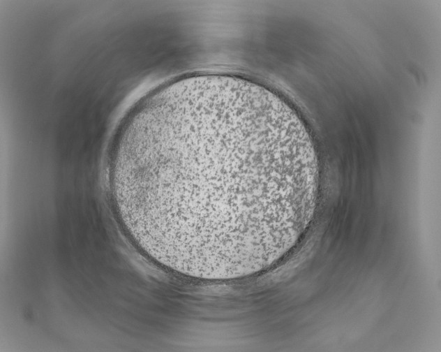 X0000110771462200907271154