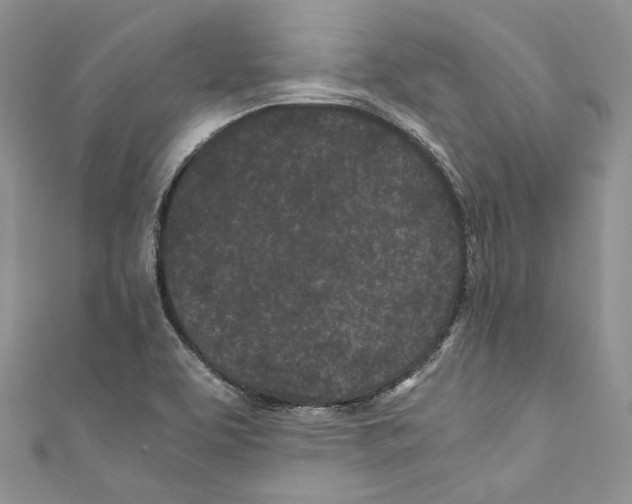 X0000110771463200907271154