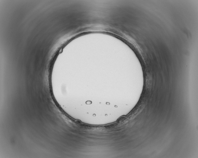 X0000110771464200907271154