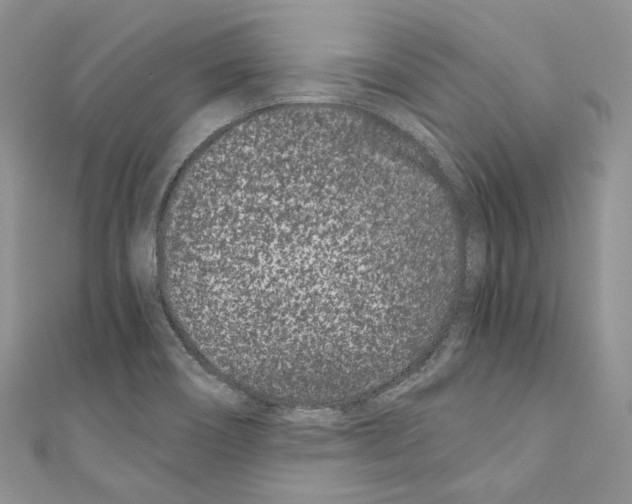 X0000110771466200907271154