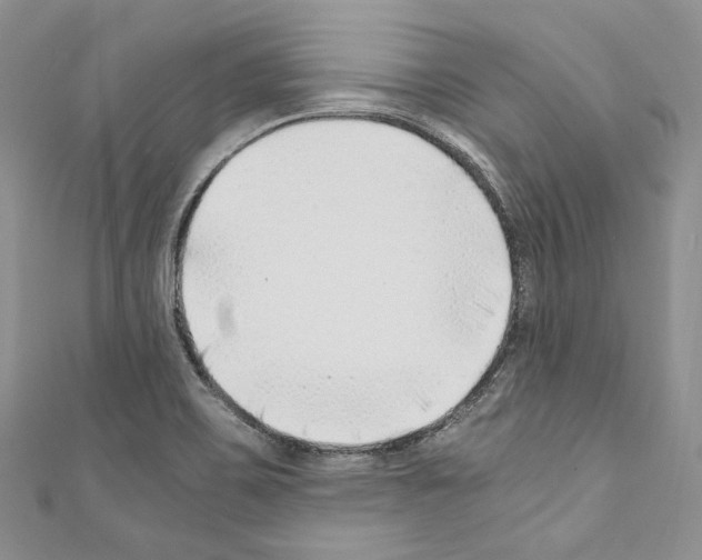 X0000110771467200907271154