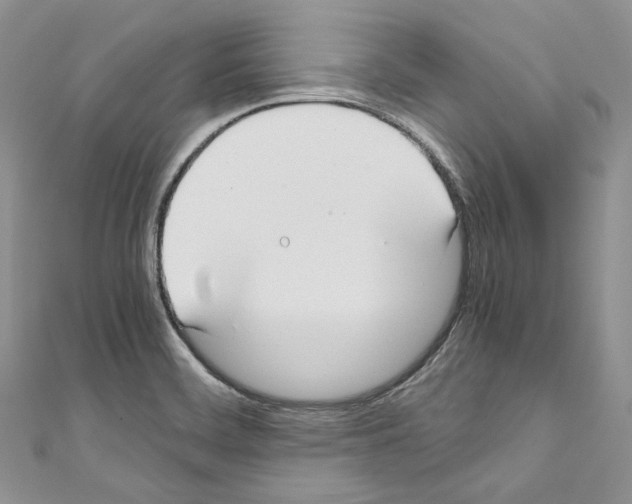 X0000110771468200907271154