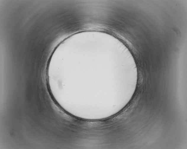 X0000110771471200907271154