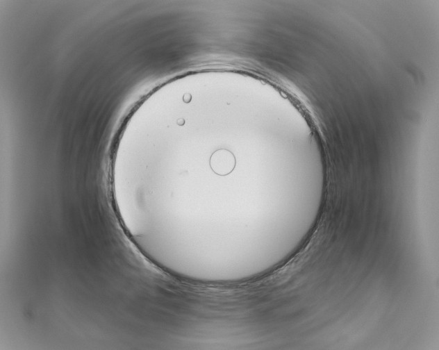 X0000110771472200907271154