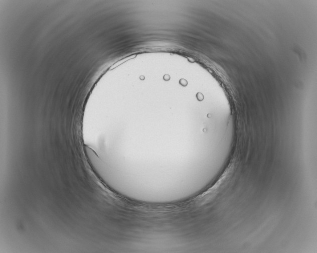 X0000110771473200907271154