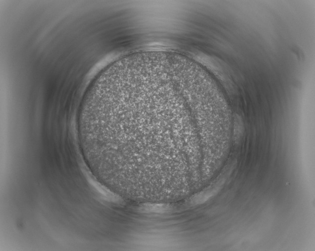 X0000110771474200907271154