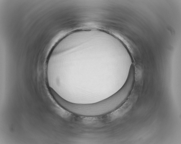 X0000110771477200907271154