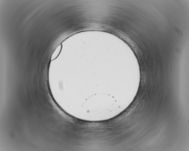 X0000110771479200907271154