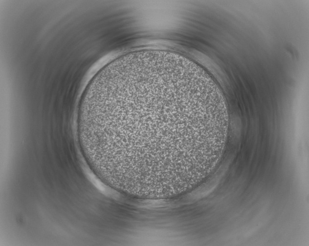 X0000110771482200907271154