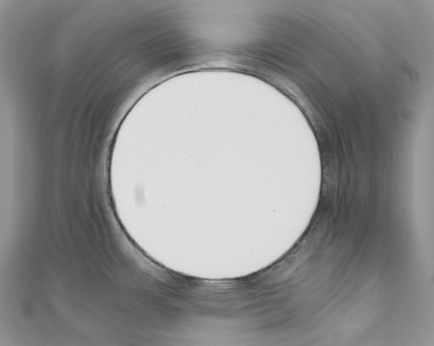 X0000110771483200907271154