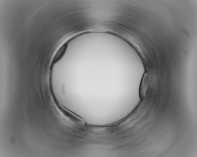 X0000110771484200907271154