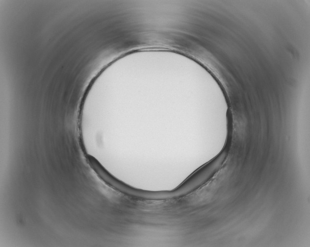 X0000110771485200907271154