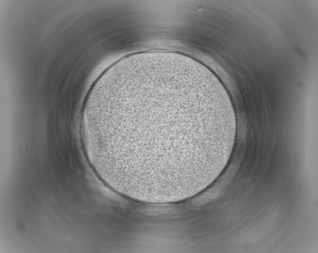 X0000110771486200907271154