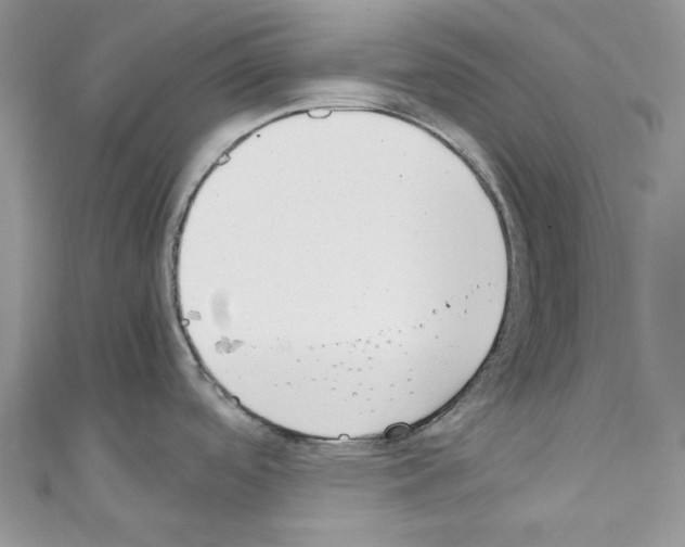 X0000110771488200907271154