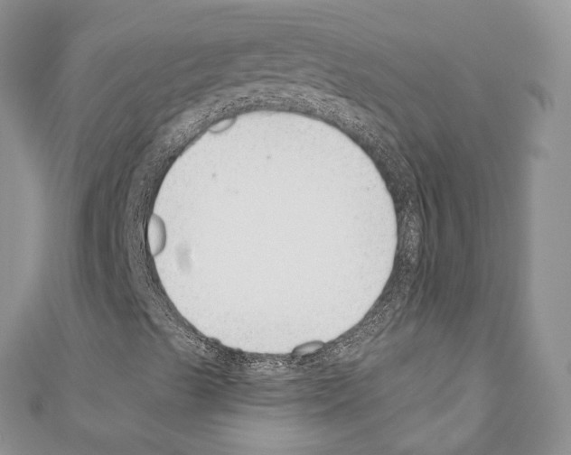 X0000110771489200907271153