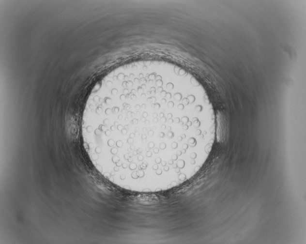 X0000110771491200907271153