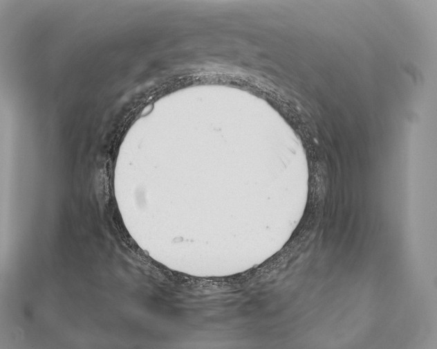 X0000110771493200907271153