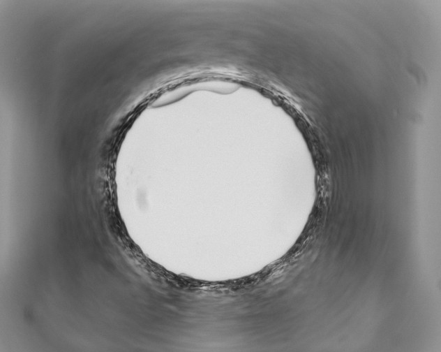 X0000110771496200907271153